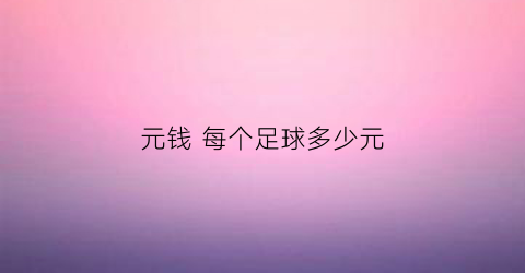 元钱 每个足球多少元